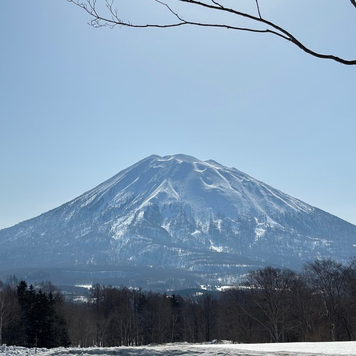 Exploring Japan's Mobile Carriers: SoftBank, IIJ, NTT Docomo, and au