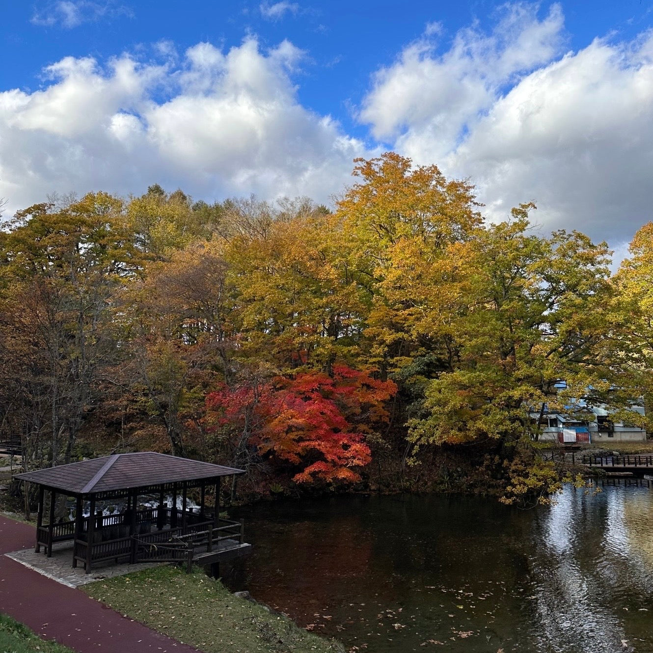 【Japan Spots】Must-Visit Destinations for Autumn Leaves