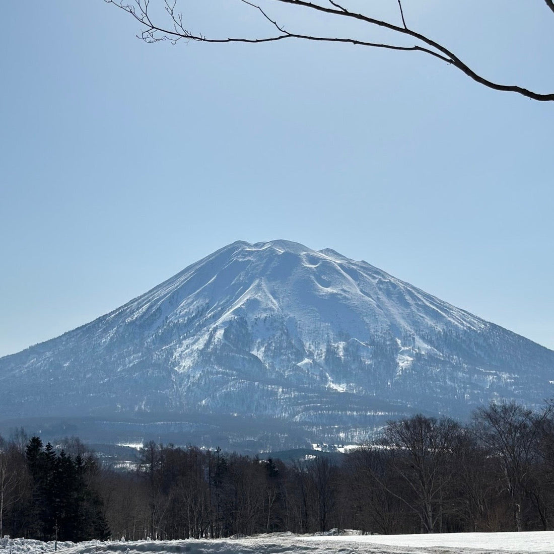 Exploring Japan's Mobile Carriers: SoftBank, IIJ, NTT Docomo, and au