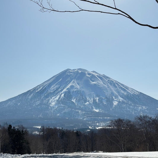 Exploring Japan's Mobile Carriers: SoftBank, IIJ, NTT Docomo, and au